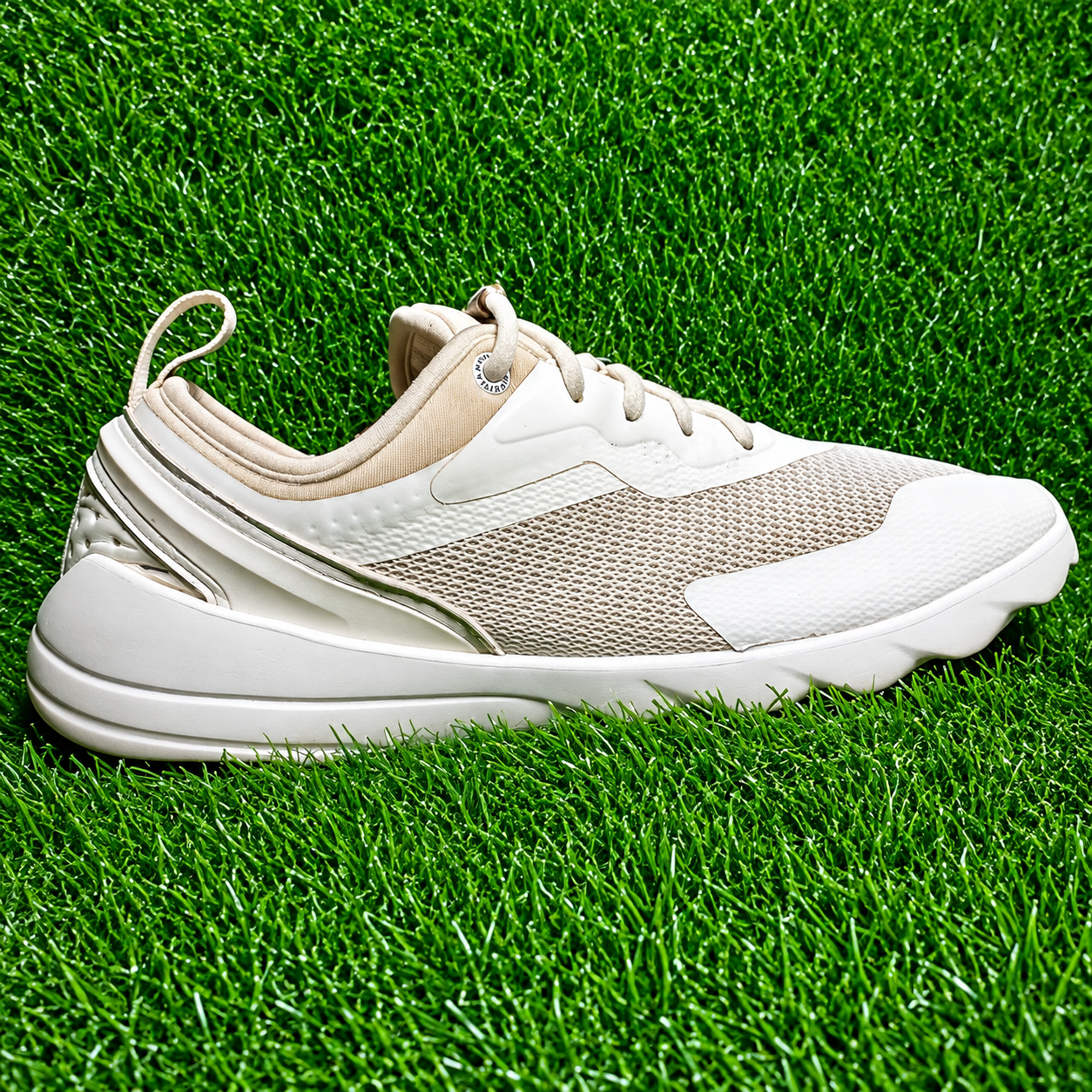 Dynafit Lightweight Running & Walking Shoes for Men